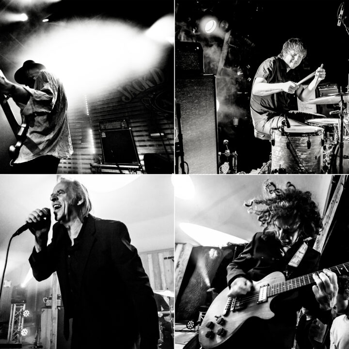 Grote evenementafbeelding: Claw Boys Claw • Haarlem Vinyl Festival
