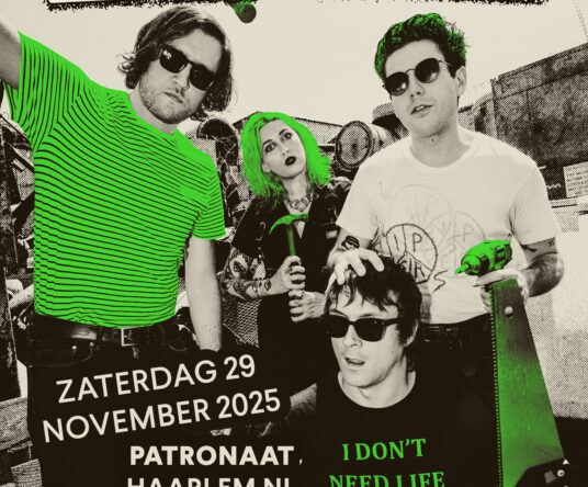 Get in the mood afbeelding voor: Frankie & The Witch Fingers + support
