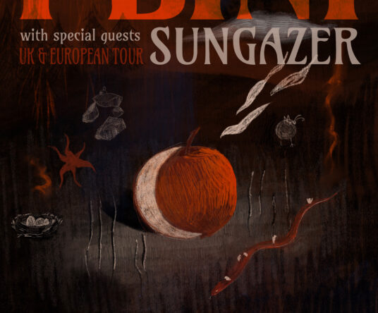 Get in the mood afbeelding voor: Plini + Sungazer