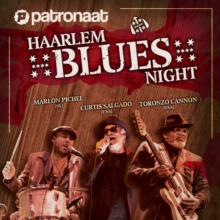 Grote evenementafbeelding: Haarlem Blues Night