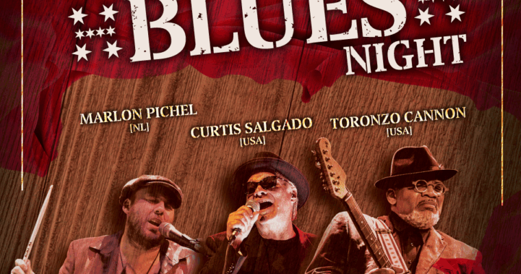 Evenementafbeelding: Haarlem Blues Night