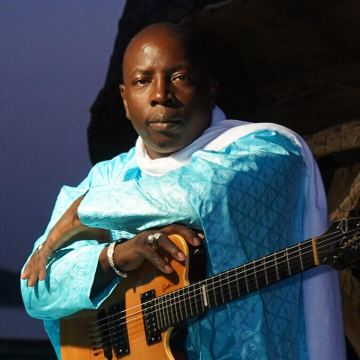 Grote evenementafbeelding: Vieux Farka Touré + Trackvogels