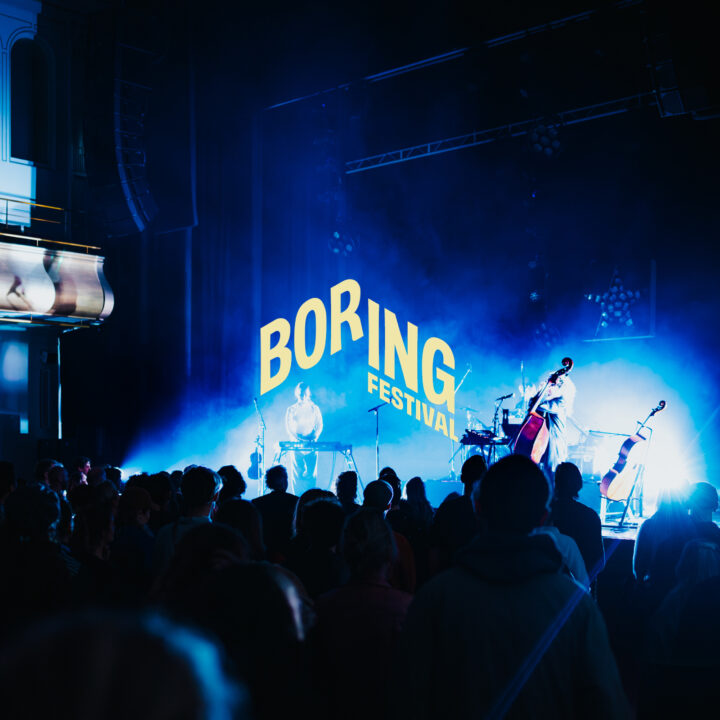 Grote evenementafbeelding: BORING FESTIVAL