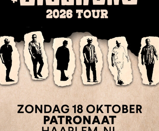 Get in the mood afbeelding voor: The Slackers + support