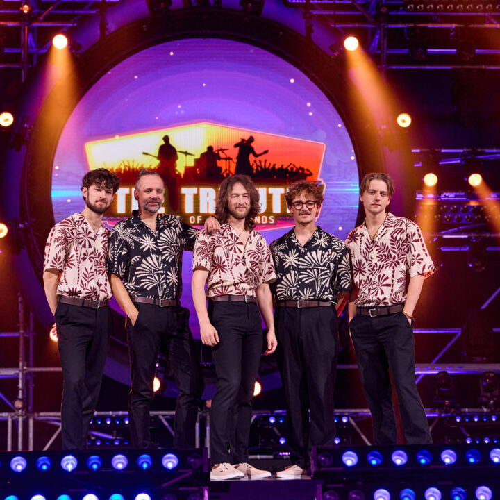 Grote evenementafbeelding: Beach Boys’ Best
